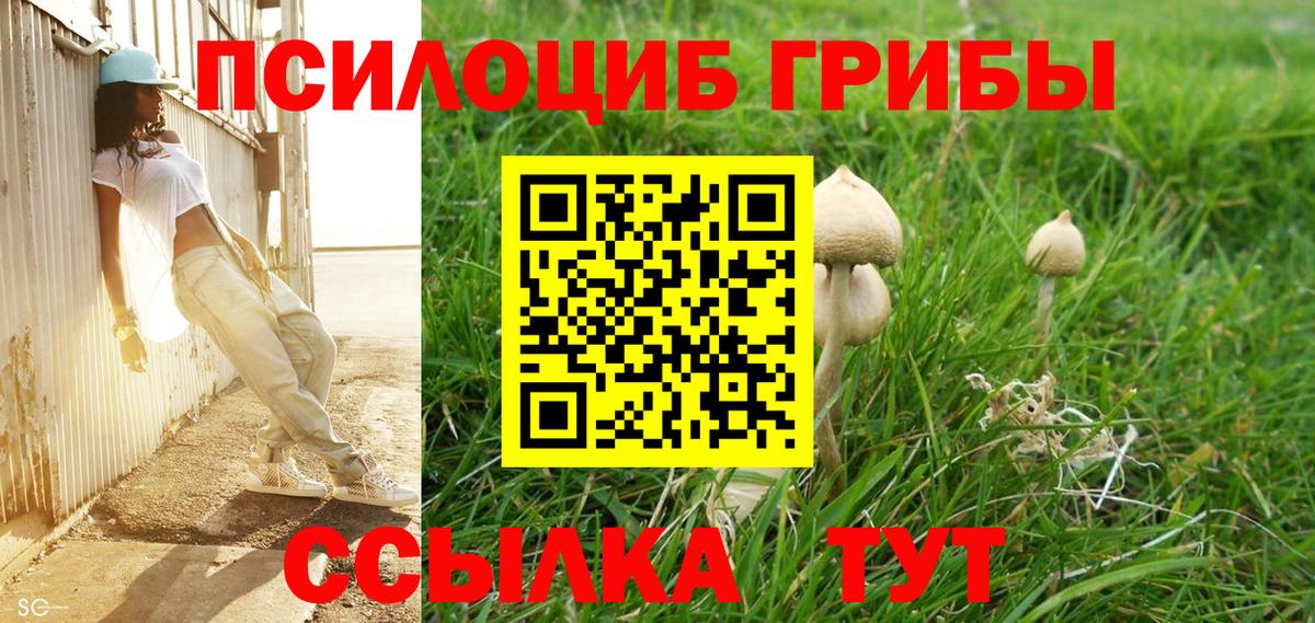 Псилоцибиновые грибы Psilocybe  Вход с VPN  Комсомольск-на-Амуре 